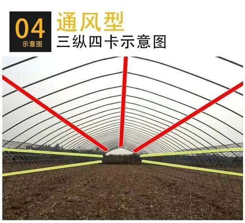 六盘水生猪养殖大棚厂家直销价格解析与选购指南